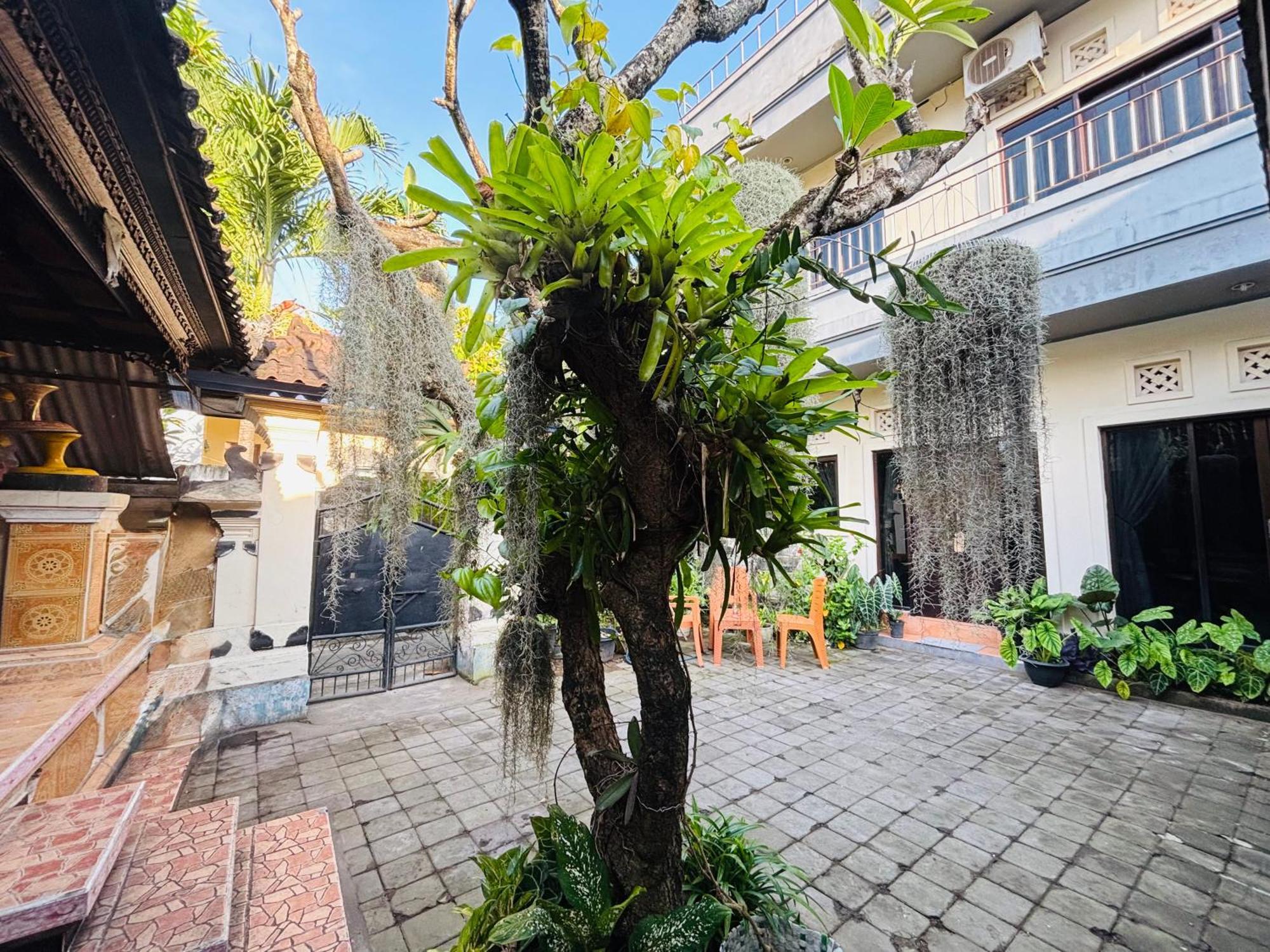 Mama Mega Homestay Pesanggaran 外观 照片